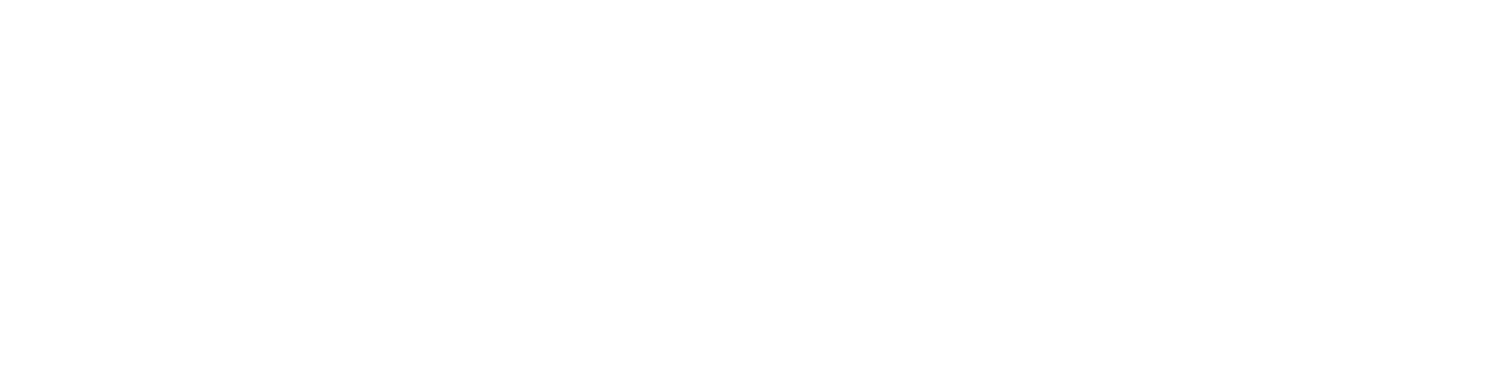 The Daily Report